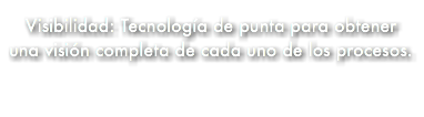 &nbsp;Visibilidad: Tecnología de punta para obtener una visión completa de cada uno de los procesos.