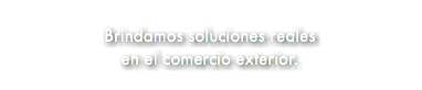 &nbsp;Brindamos soluciones reales en el comercio exterior.