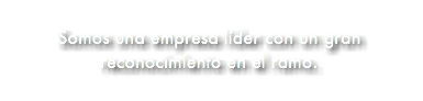 &nbsp;Somos una empresa líder con un gran reconocimiento en el ramo.