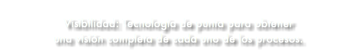 &nbsp;Visibilidad: Tecnología de punta para obtener una visión completa de cada uno de los procesos.