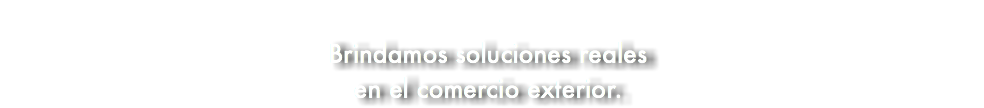 &nbsp;Brindamos soluciones reales en el comercio exterior.