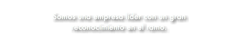 &nbsp;Somos una empresa líder con un gran reconocimiento en el ramo.