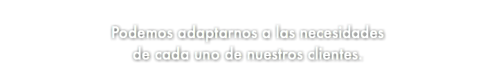 &nbsp;Podemos adaptarnos a las necesidades de cada uno de nuestros clientes.