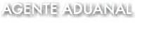 AGENTE ADUANAL